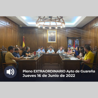 16.06.2022 - Pleno Extraordinario