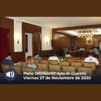 27.11.2020 - Pleno Ordinario