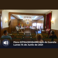 14.06.2021 - Pleno Ordinario