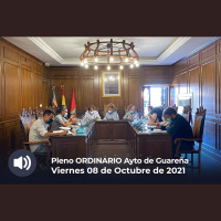 08.10.2021 - Pleno Ordinario