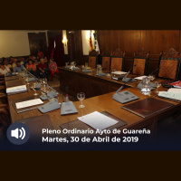30.04.2019 - Pleno Ordinario