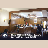 27.05.2021 - Pleno Ordinario