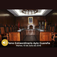 10.07.2018 - Pleno Extraordinario