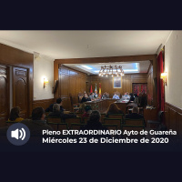 18.03.2021 - Pleno Extraordinario