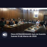 12.03.2020 - Pleno Extraordinario y Urgente