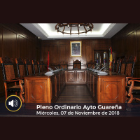 07.11.2018 - Pleno Ordinario