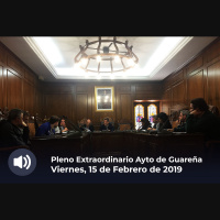 15.02.2019 - Pleno Extraordinario y Urgente