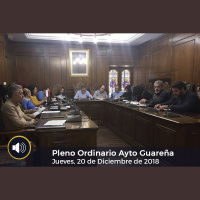 20.12.2018 - Pleno Ordinario