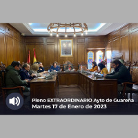 17.01.2023 - Pleno Extraordinario