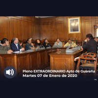 07.01.2020 - Pleno Extraordinario