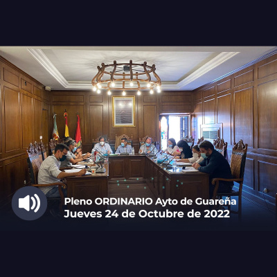 Plenos Del Ayuntamiento De Guareña
