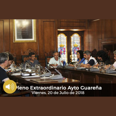 Plenos Del Ayuntamiento De Guareña