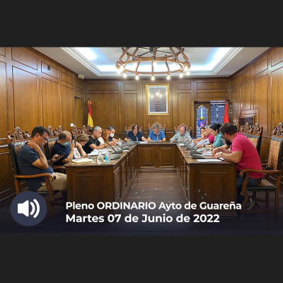 Plenos Del Ayuntamiento De Guareña