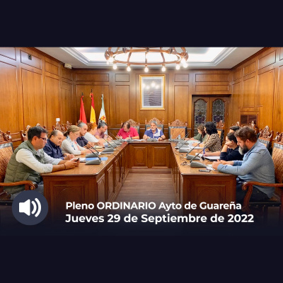 Plenos Del Ayuntamiento De Guareña