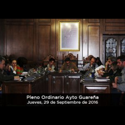 Plenos Del Ayuntamiento De Guareña