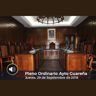 Plenos Del Ayuntamiento De Guareña