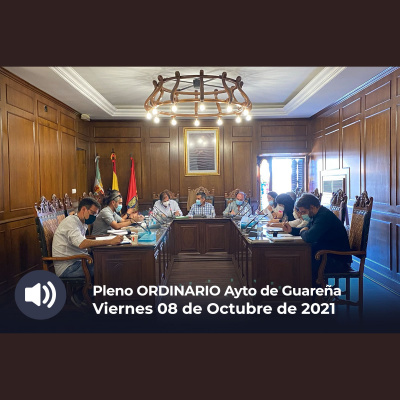 Plenos Del Ayuntamiento De Guareña