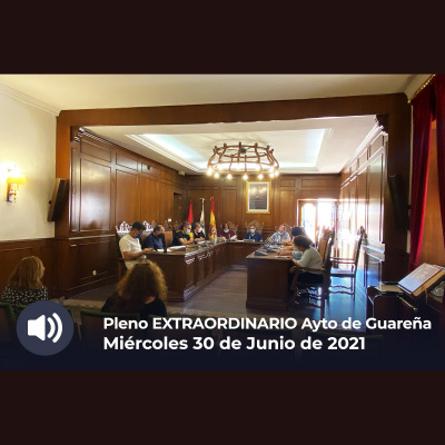 Plenos Del Ayuntamiento De Guareña