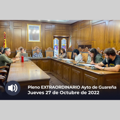 Plenos Del Ayuntamiento De Guareña