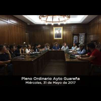 Plenos Del Ayuntamiento De Guareña