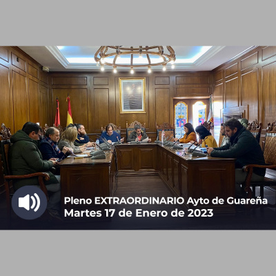 Plenos Del Ayuntamiento De Guareña