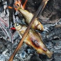 Cocina y humanización