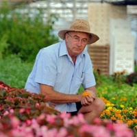 Josep Pàmies y sus remedios milagrosos