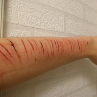 Cómo detectar noticias falsas