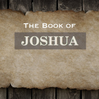 Joshua 11 - November 28, 2010