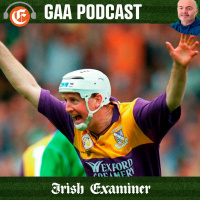 Dalos Hurling Show: Wexford hero Tom Dempsey relives the journey to joy in 96