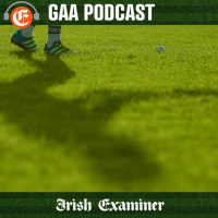 How healthy is hurling?