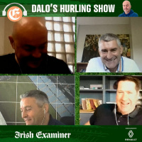 Dalos Hurling Final Review: Supreme Limerick will be hard to knock off the perch