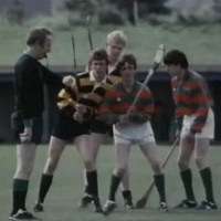 Therell be no job in the bank for you