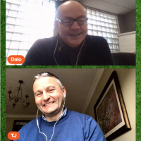 Dalos Allianz League Show: no problems for Limerick against Cats