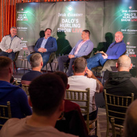 Dalos Live Hurling Championship Preview: Plenty of it here if you want it