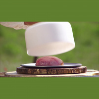 15.12 – Not Actually Oysters