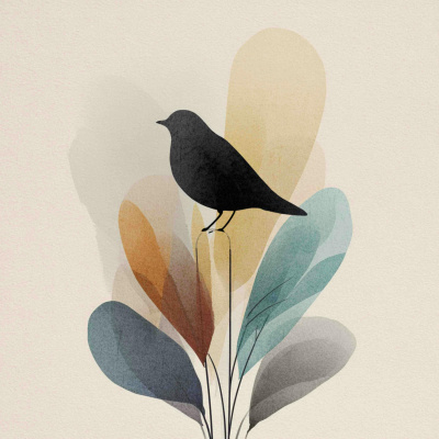 Optimal Living Daily: Personal Development  Minimalism