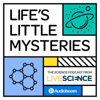 Introducing Lifes Little Mysteries