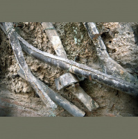 Lead Pipes in Older Homes