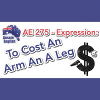 AE 275 - Expression: To Cost An Arm And A Leg
