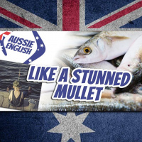 AE 399 - Expression: Like A Stunned Mullet