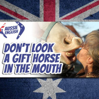 AE 421 - Expression: Dont Look a Gift Horse in the Mouth