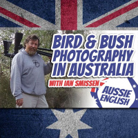 AE 420 - Interview: Bird  Bush Photography in Australia with Ian Smissen