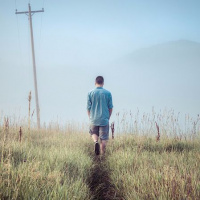 Walking With Pete: If You Want To Be A Lion Then Surround Yourself With Lions