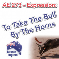 AE 273 - Expression: Take The Bull By The Horns