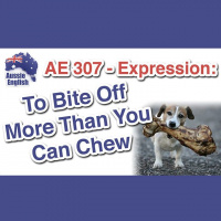 AE 307 - Expression: To Bite Off More Than You Can Chew