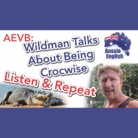AE 276.3 - AEVB: Wildman Talks About Being Crocwise - Listen  Repeat