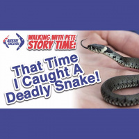 AE 363 - WWP Story Time: That Time I Caught A Deadly Snake