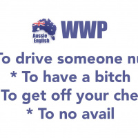 WWP: Internet Issues  Vocab Builder Videos