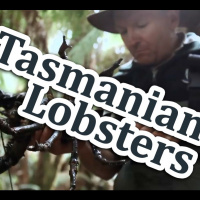 AEVB Ep04: Tasmanian Lobsters